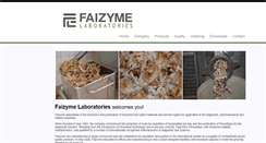 Desktop Screenshot of faizyme.com